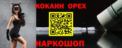 крисы Заводоуковск