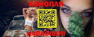 крисы Заводоуковск
