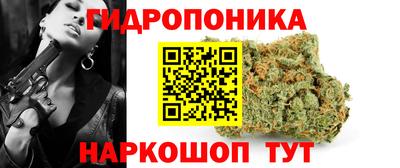 гашик Заволжье