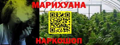 крисы Заводоуковск