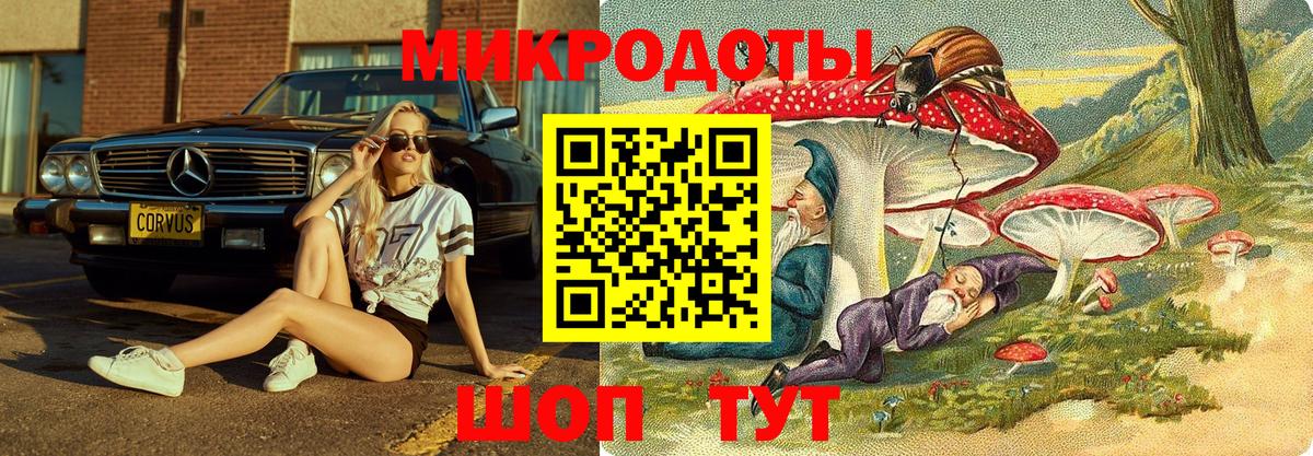 Каннабис Звенигород