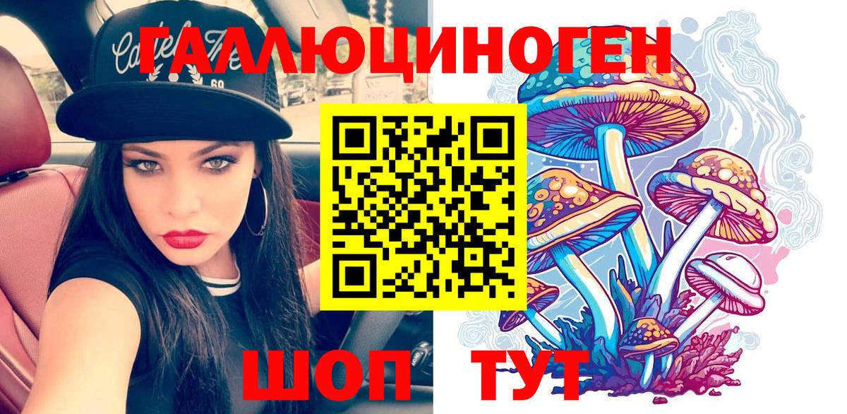 Галлюциногенные грибы Magic Shrooms  что такое   Псилоцибиновые грибы Cubensis  Звенигород  Вход с VPN 