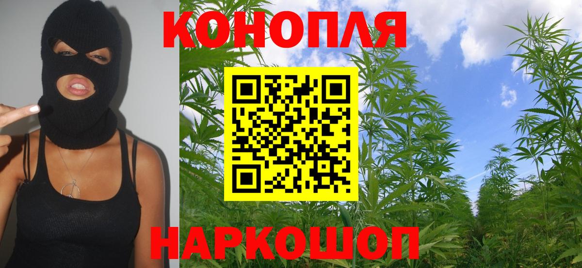 Бошки Шишки OG Kush Звенигород